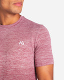AGARU GRADIENT SEAMLESS T-SHIRT